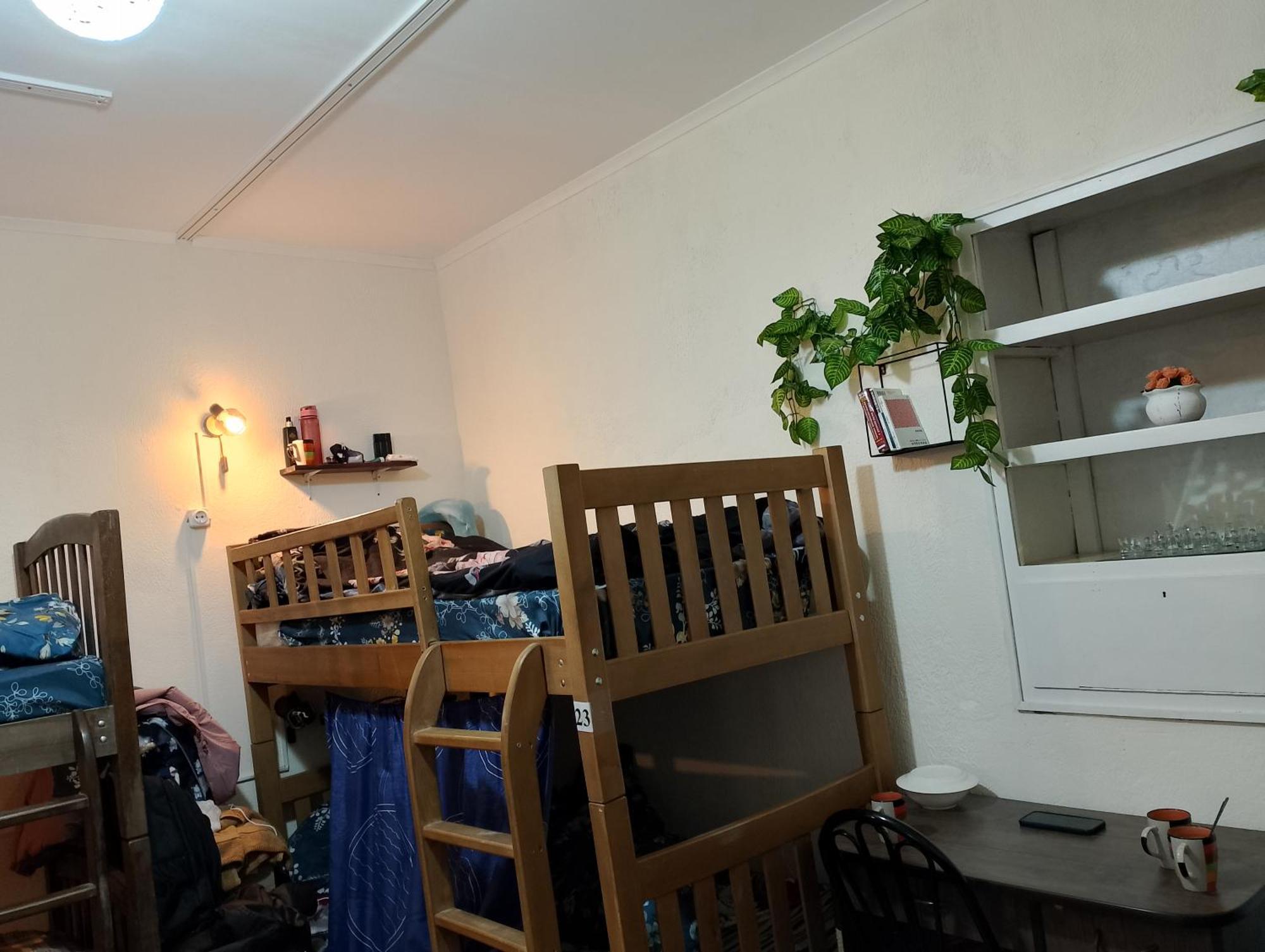 El Hostal تبليسي المظهر الخارجي الصورة